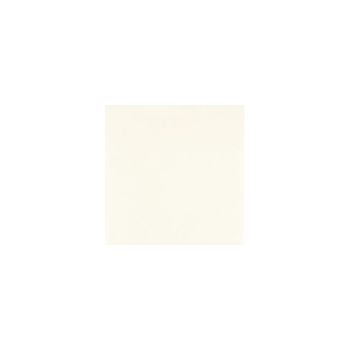 Tero bianco gres 59,8x59,8 półp. Paradyż