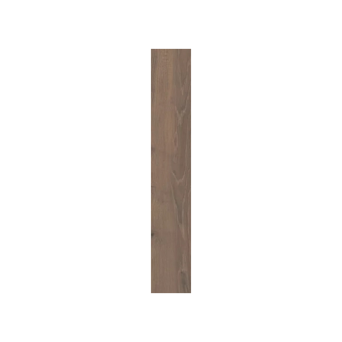 Wildland dark gres szkl rek. 14,8x119,8 Paradyż